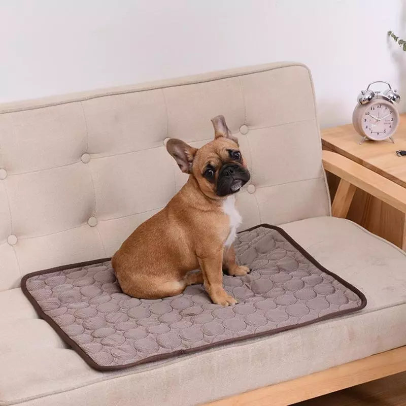 Dog bed / Cooling Mat / Ped Cooling bed (great for in car or house!)