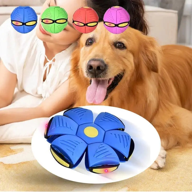 Dog Toys Flying Saucer Ball Pet Deformation UFO Toy Outdoor Sports Dog Training Equipment Dog's Play Flying DISC