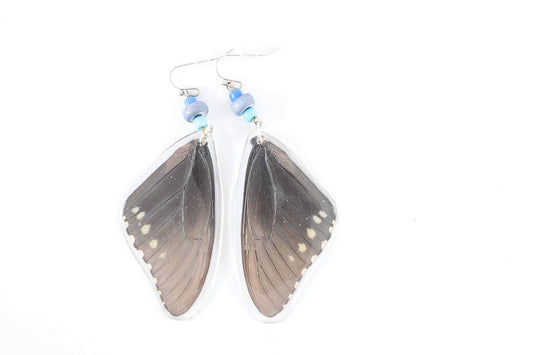 Hand-Crafted REAL BUTTERFLY WINGS in resin & stainless steel -- Dangling Earrings!